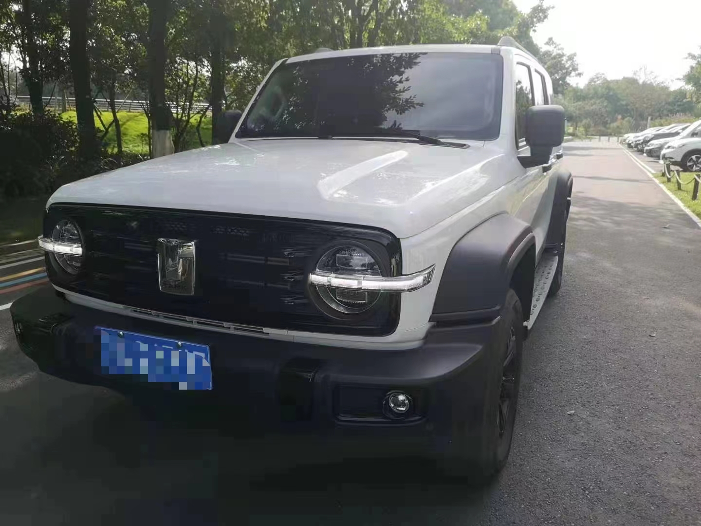 �ɶ���ԽҰ܇-̹��300